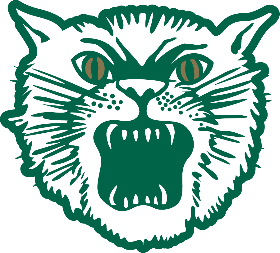 Ohio Bobcats 1958-1978 Alternate Logo v2 diy iron on heat transfer